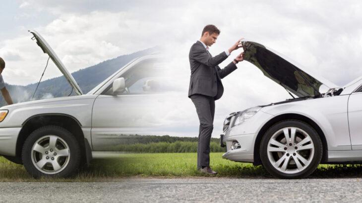 Story of the single race